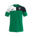 CAMISETA ENTRENAMIENTO 1 EQUIPO VERDE/NEGRO