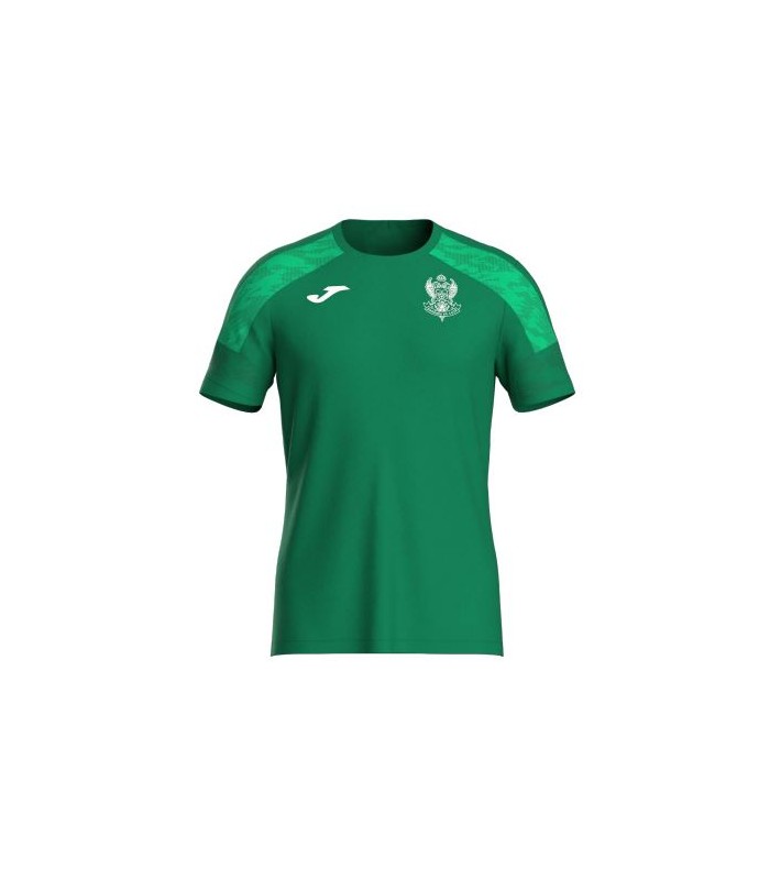 CAMISETA ENTRENAMIENTO 1ER