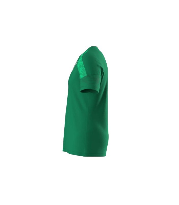 CAMISETA ENTRENAMIENTO 1ER